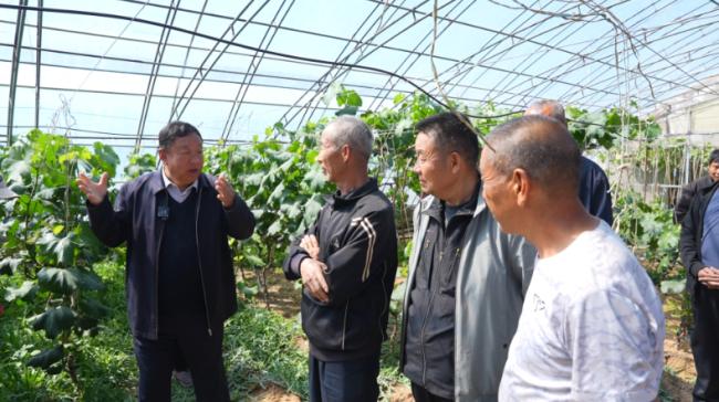 陕西神木：农技服务进田间 科技助农促增收