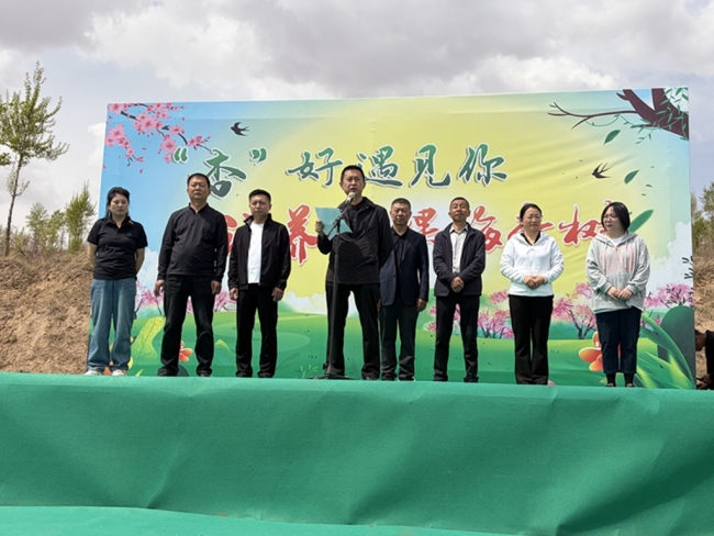 靖边县席麻湾镇：“杏”好遇见你 认养助振兴
