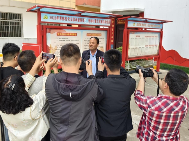 眉县枣林村：践行“千万工程”经验 绘就和美乡村新画卷