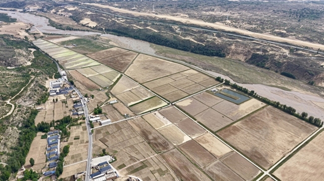神木市古今滩村500余亩水稻开始插秧