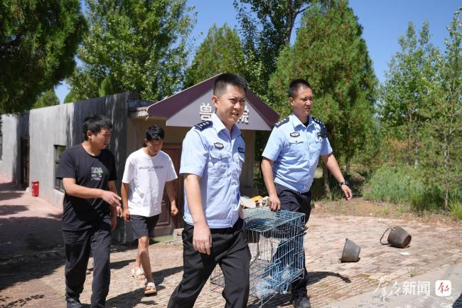 绥德干群合力救护“鸟中大熊猫”黑鹳 目前已伤愈重返自然