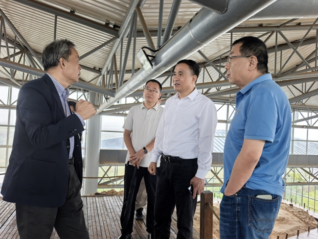 考古专家学者实地考察石峁遗址