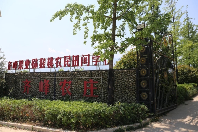 陕西齐峰果业荣膺国产猕猴桃全国销量第一