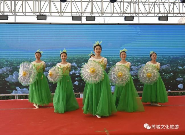 春满山河·祥“芮”有约——陕西千名游客在芮城开启春潮体验之旅