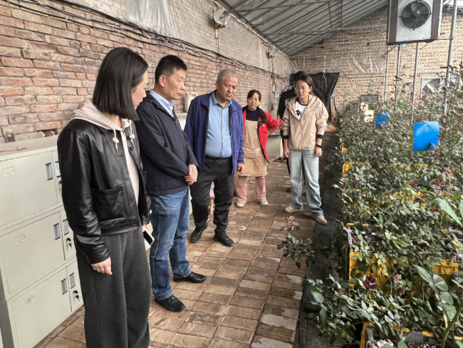 太原市农技中心赴晋源区对花卉良种引进繁育项目开展调研督导