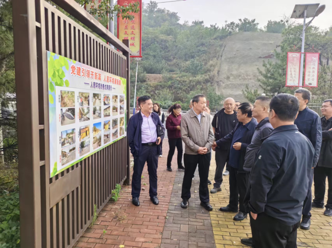 太原市人大视察调研我市学习运用 “千万工程” 经验推进乡村全面振兴工作