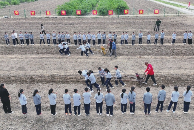 学生体验小麦播种农事