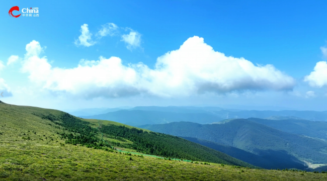 百场带千村:《管涔山下的振兴画卷·羊圈沟林场》