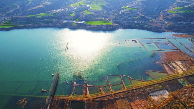 垣曲县黄河湿地水清景美