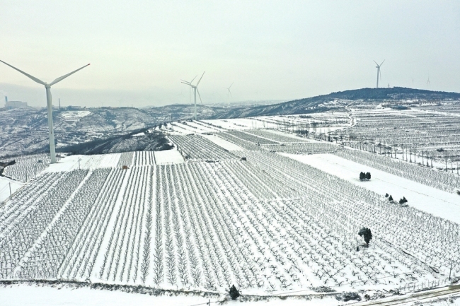 雪后的平陆县大地