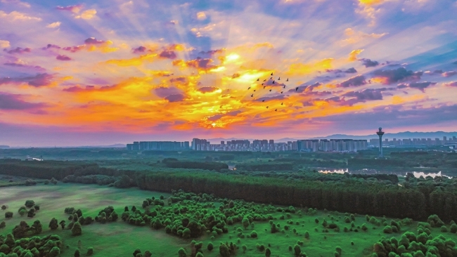 美丽的湿地晨景