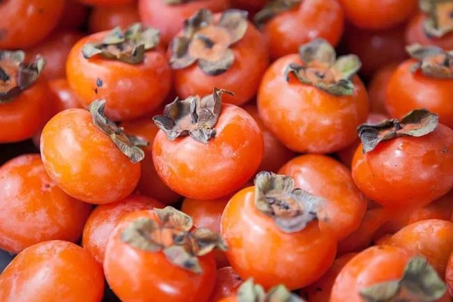 A Bite of Shanxi Autumn (Persimmon)