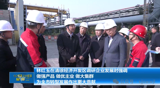 林红玉在清徐经济开发区调研企业发展