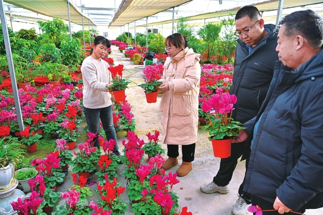 花卉市场迎销售高峰