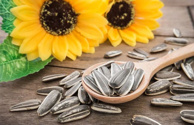 Sharing Shanxi with the World: Changzhi Sunflower Seeds Export to Uzbekistan