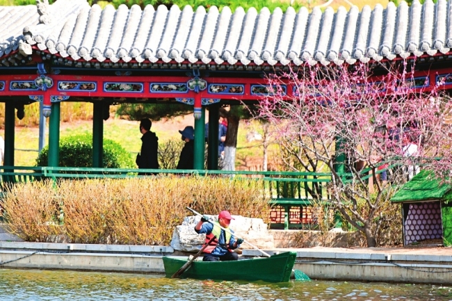 工作人员乘船开展水域清理工作