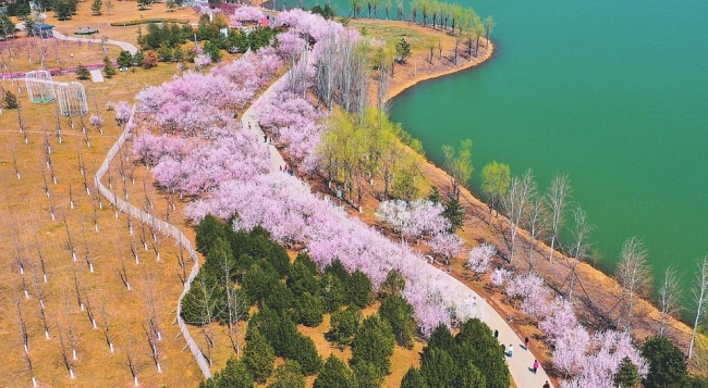 徜徉花海 乐享春光