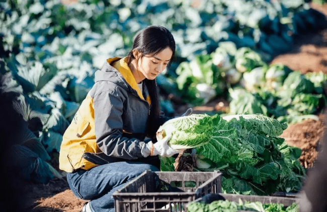 「幸福到万家」完结，可屏幕背后的「赵丽颖」们，你真的认识吗？