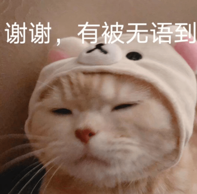 白鹿说女生是小母狗被骂惨！对男人屁股又掐又戳，自称直男被质疑不尊重女性！