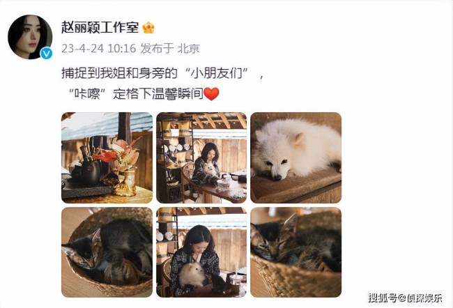 赵丽颖近照好文艺，抱着狗狗玩自拍，甜美清新少女感十足