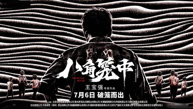 11年后再看《泰囧》，明白了王宝强为何能打造出《八角笼中》