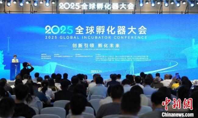 中外专家齐聚“中国光谷” 共谋孵化器发展新篇章