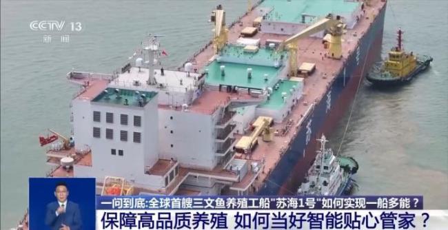 海上“牧鱼”成现实 何时能吃上“苏海1号”养殖的三文鱼？