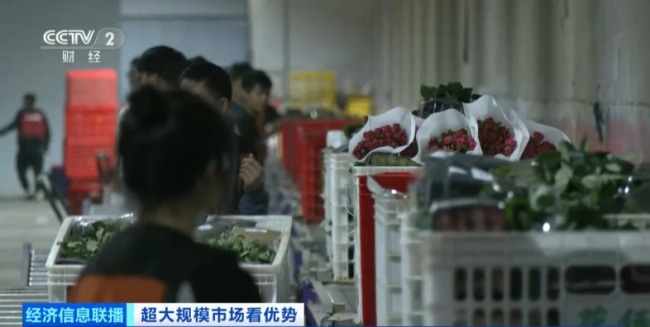 世界之最！这个超大规模市场 加速狂飙→