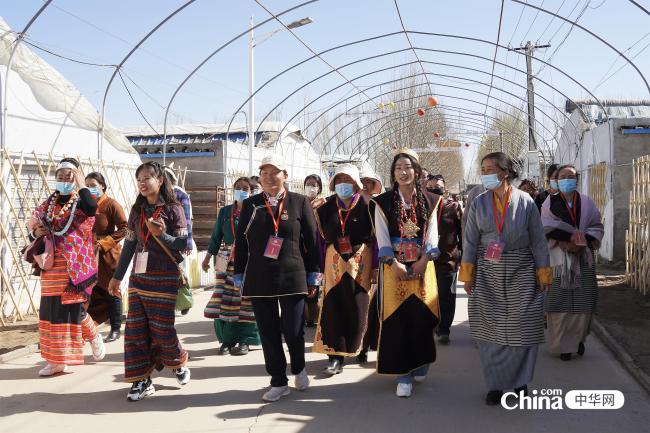 西藏基层妇联干部到北京陆陆源农业合作社调研学习