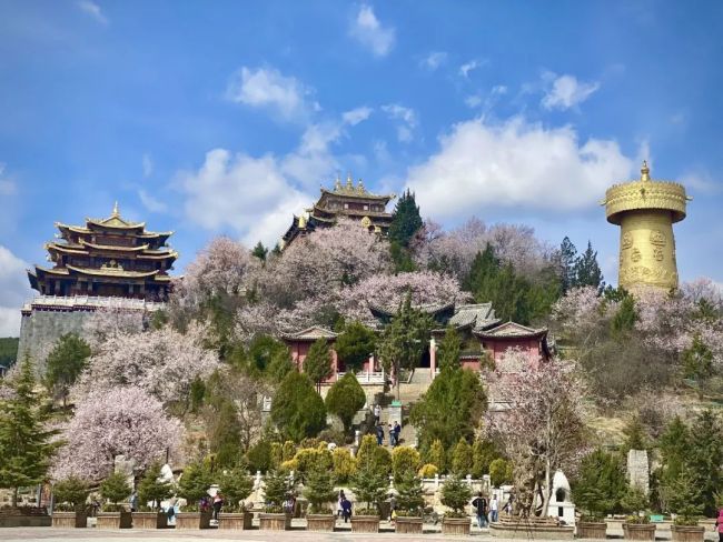 有一种叫云南的生活丨走进迪庆，找寻心中的日月