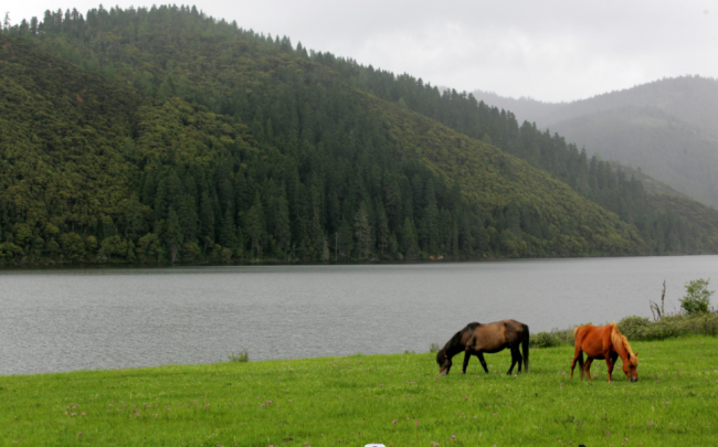 有一种叫云南的生活丨走进迪庆,找寻心中的日月