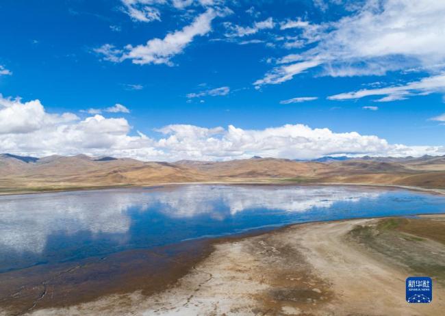 西藏措美：草原天地阔万物任徜徉