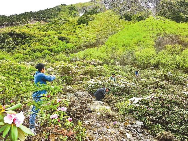 白马雪山国家级自然保护区初步建成天空地一体化监测网