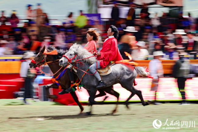 身轻如燕 四川理塘赛马夺人眼球