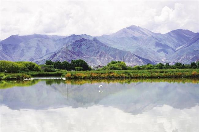 西藏首个城市湿地生态系统观测站挂牌