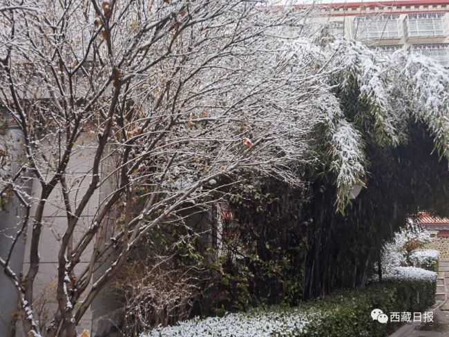 拉萨初雪，如约而至！