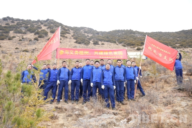 阳春三月，火焰“蓝”为西藏添新“绿”