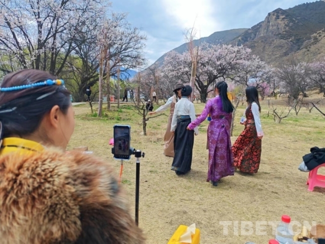 西藏林芝：“桃花第一村”成了电商专业学子们的实践地