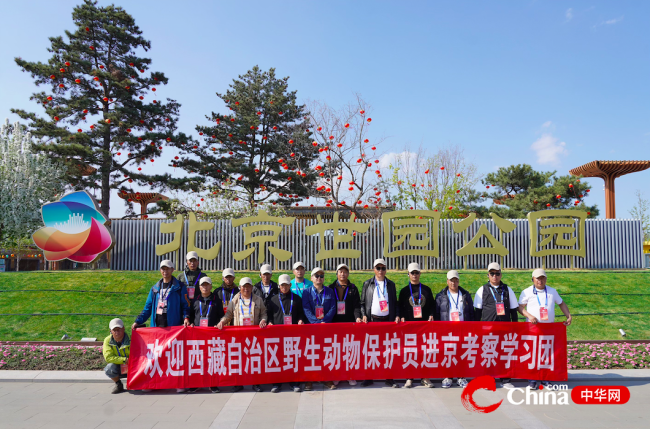 西藏野生动物保护员登长城、参观北京世园公园
