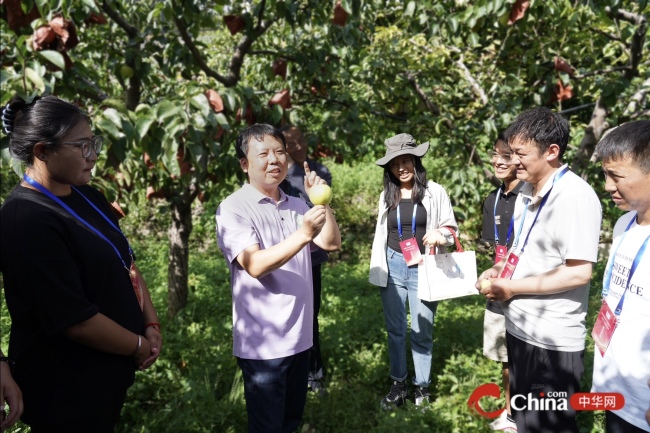 科技创新赋能乡村振兴——西藏自治区科技专干参观平谷科技小院