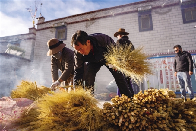 坚守与传承 桑木村的“罗萨梅朵”