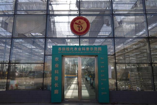 援藏结出“幸福果”——北京援藏团队助力尼木种植业发展小记