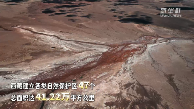 西藏和平解放74周年·生态有守护