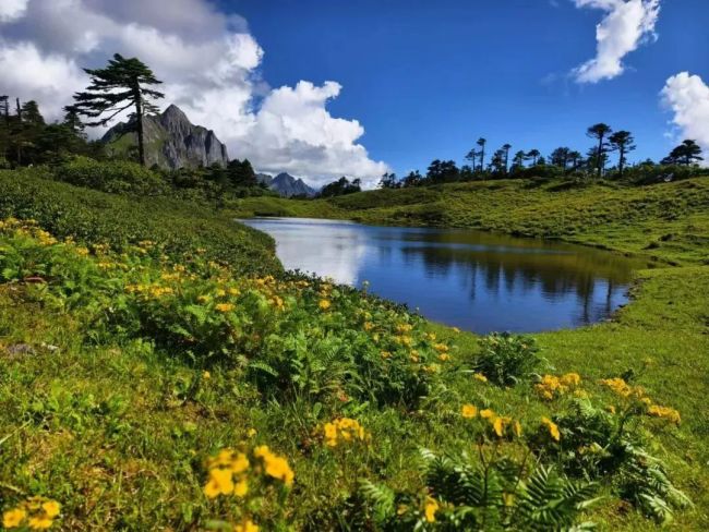 孔雀山风光。图源：贡山县文化和旅游局