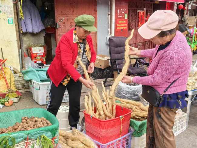 迪庆维西糯山药已上市