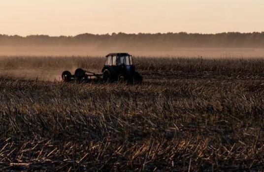 大量乌克兰农产品只能在东欧国家销售 乌农业企业损失严重