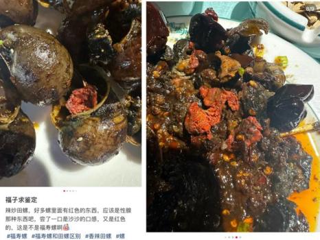 山西运城一餐厅被曝售卖福寿螺 食品安全引担忧