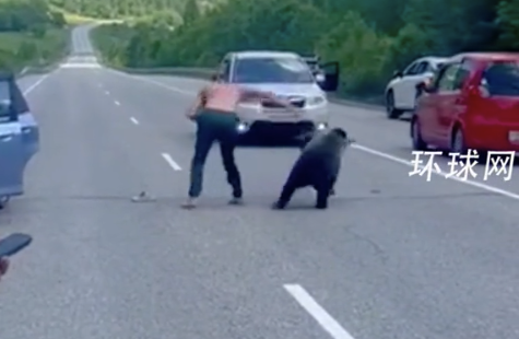 战斗民族！俄罗斯一男子赤膊与熊在公路“起争执”，一把推开黑熊抢回拖鞋