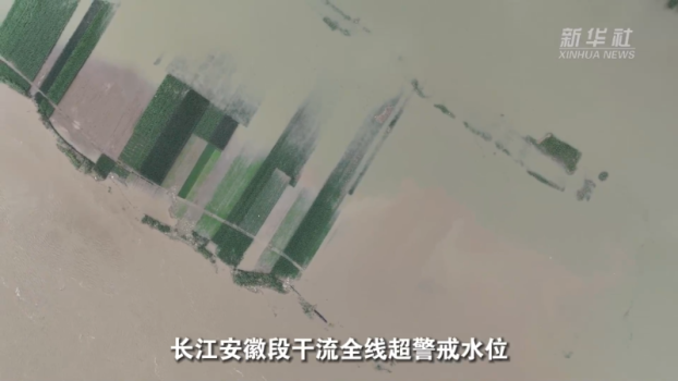 在长江安徽段“起点”看水情 防汛前线的老水利人视角