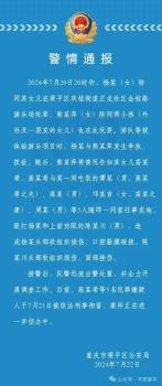 重庆警方通报游乐场发生打人事件：5人被刑拘
